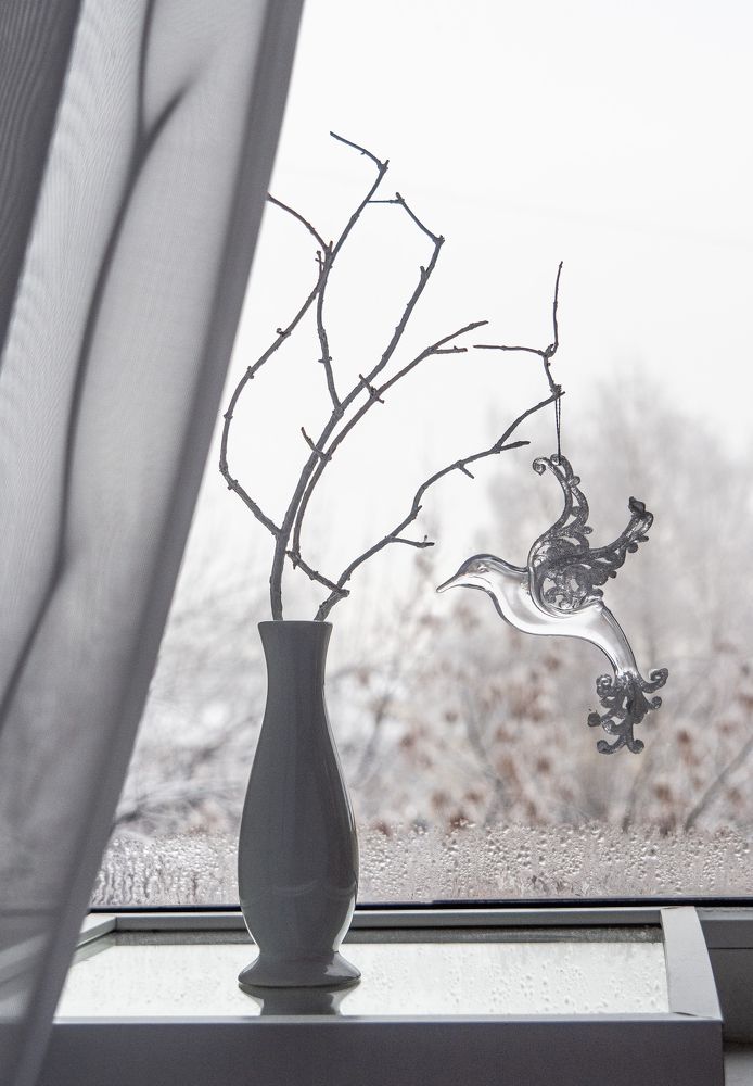 Photograph by Larisa Usova