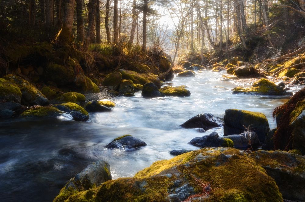 Photograph by Вероника Романенко