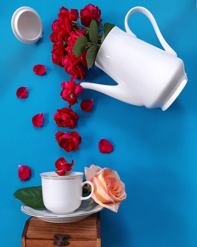 Photograph by Гельфман Галина