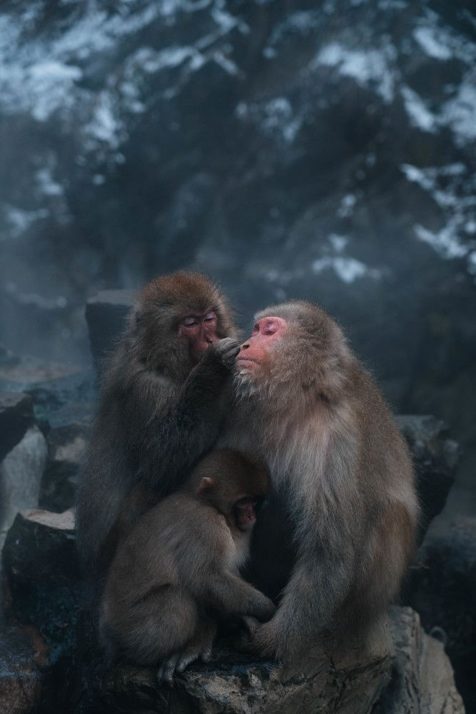 Photograph by Gulzat Kikuchi