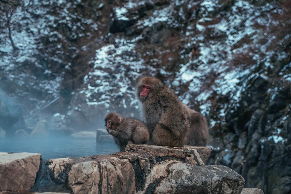 Photograph by Gulzat Kikuchi