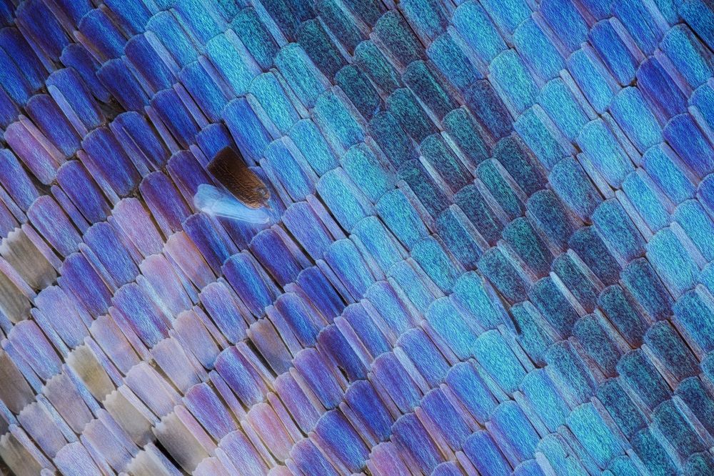 Photograph by Yuan Ji