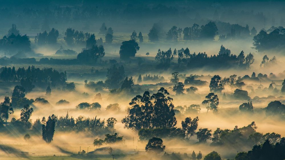 Photograph by Mario Pedraza