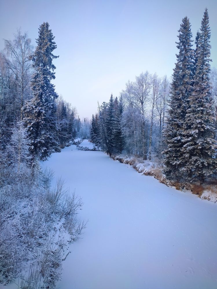 Зимний пейзаж.