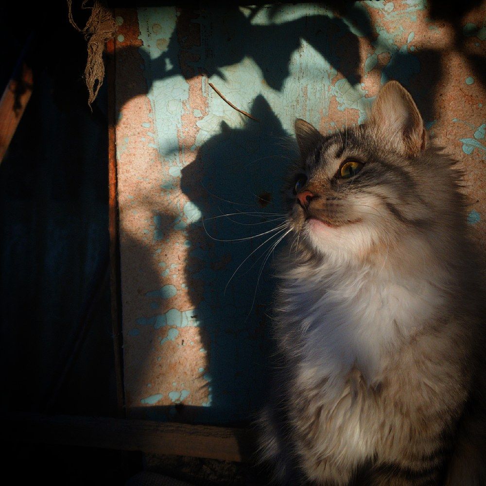 Photograph by Хачик Аджатян