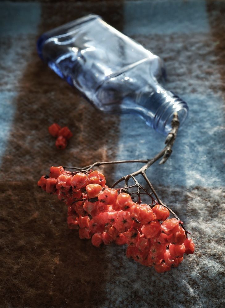 Photograph by Наталья Адалинская