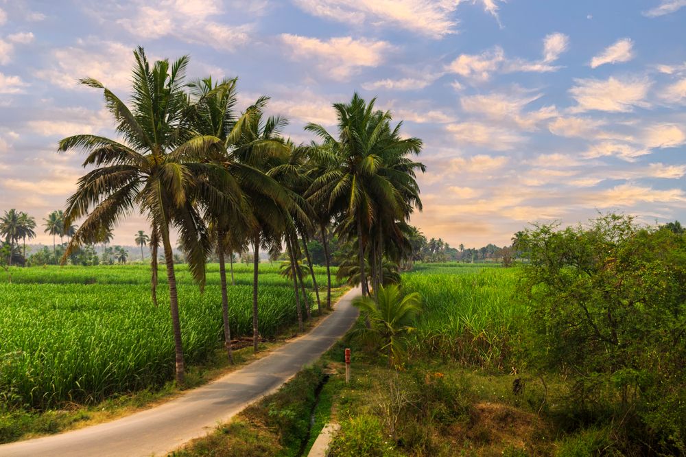 Photograph by Prabhanjana Prasanna