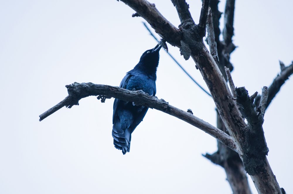 Фотография автора Adrian Alvarado