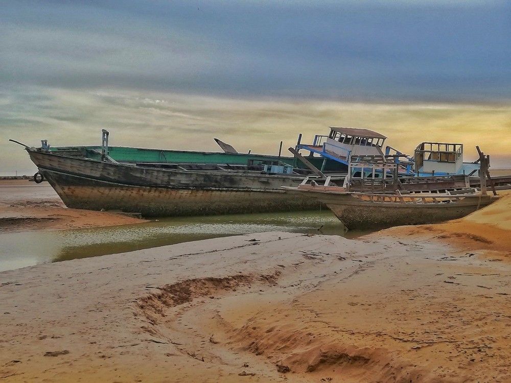 Фотография автора sharareh ahmadpoor