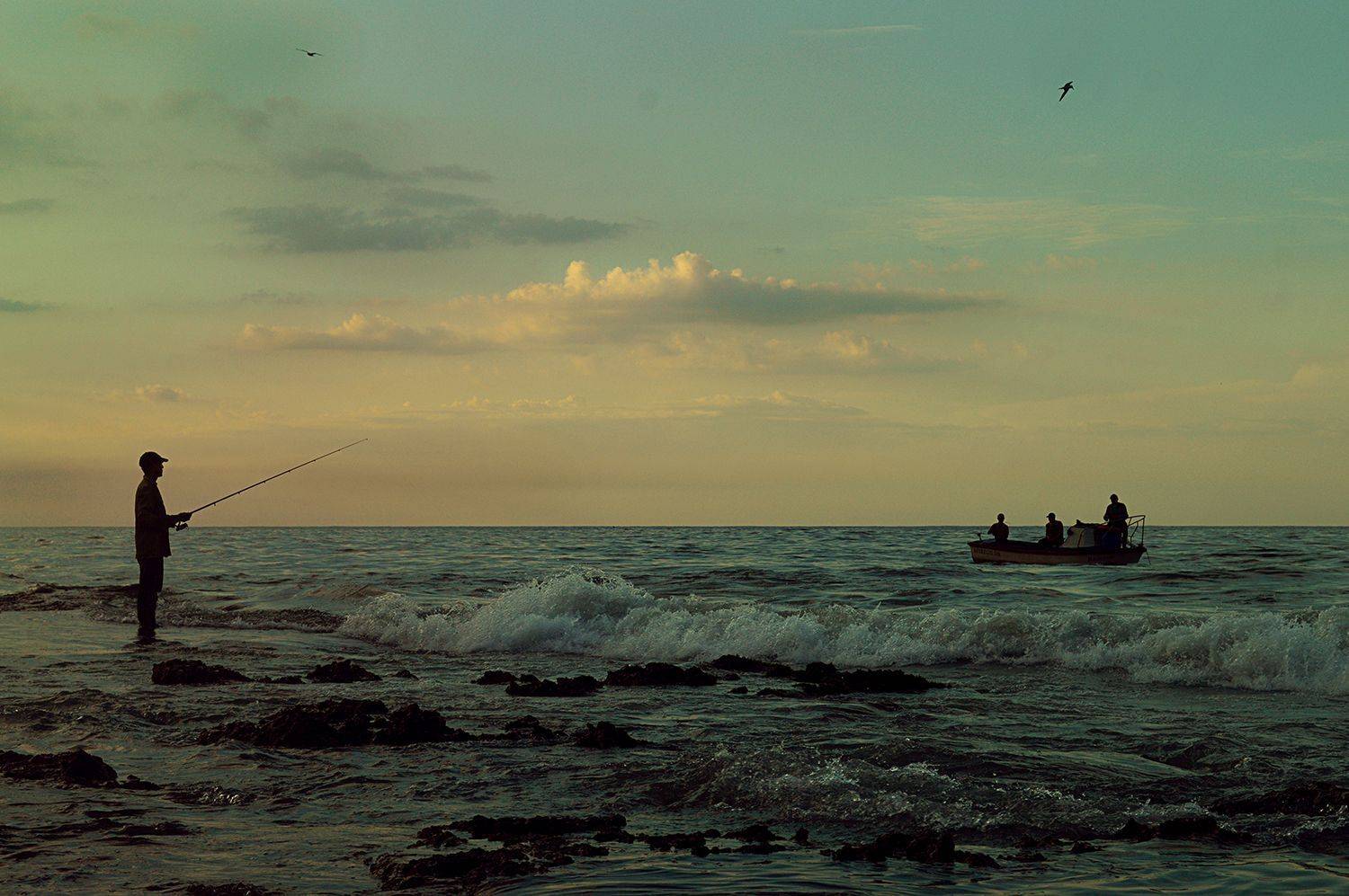 Photo #8850101
