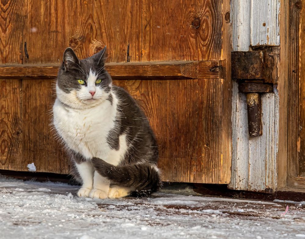 Photograph by Виктор Волынский