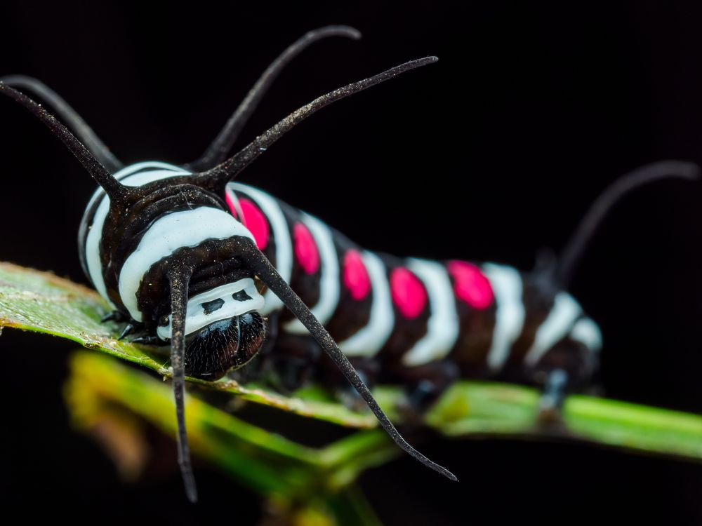 Photograph by Venkat Mangudi