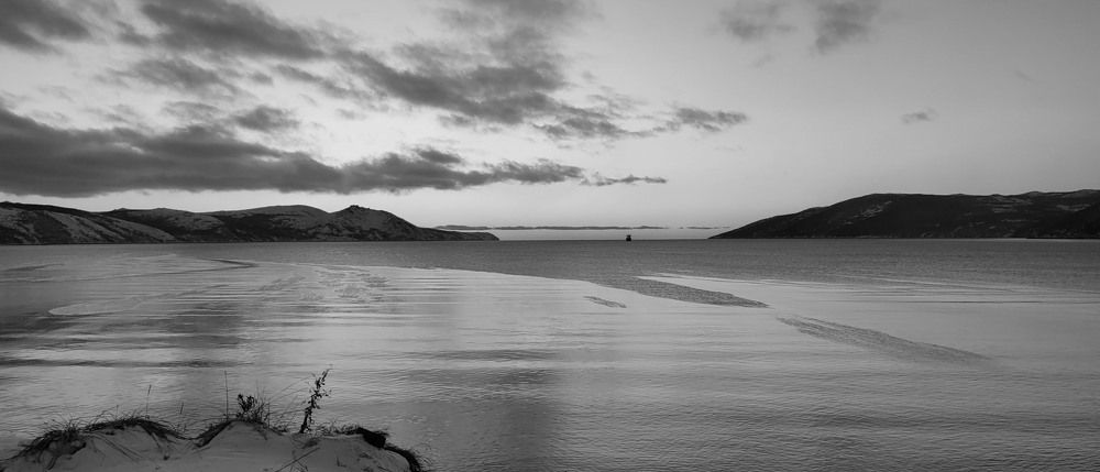Photo #8850240