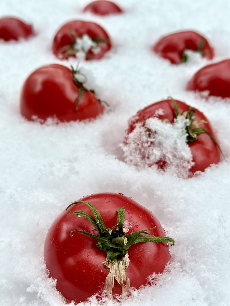 Photograph by Григорий Лыжин