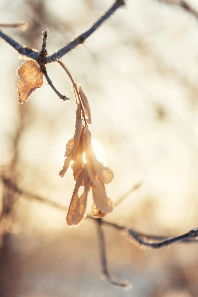 Photograph by Денис Илюхин