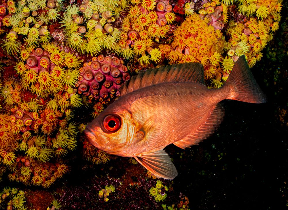 Photograph by Cecilia Muniz