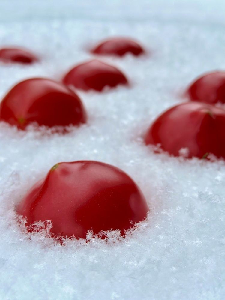 Photograph by Григорий Лыжин