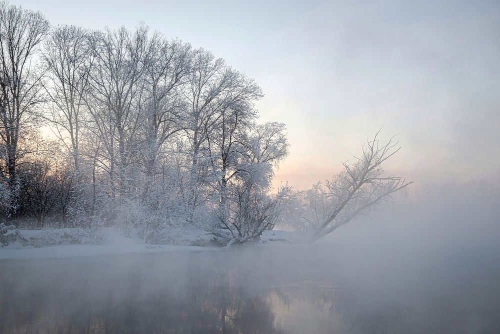 Фотография автора NIKOLAY KALININ