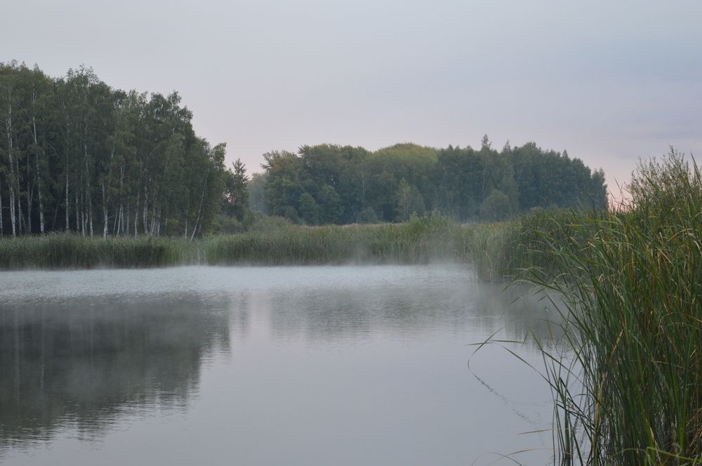 Туманное утро.