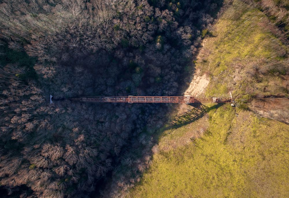 Из тьмы на свет