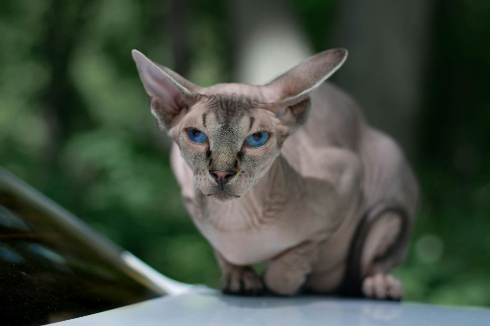 Photograph by Ксения Илюшина