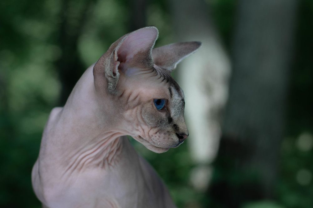 Photograph by Ксения Илюшина