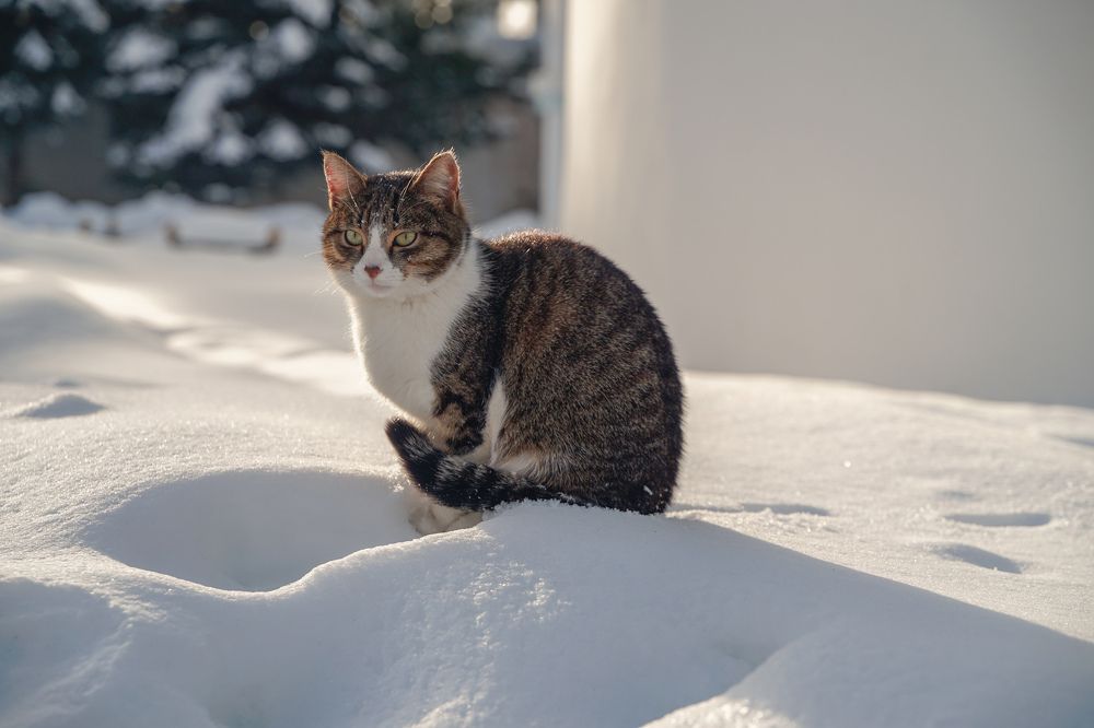 Photograph by Ксения Илюшина