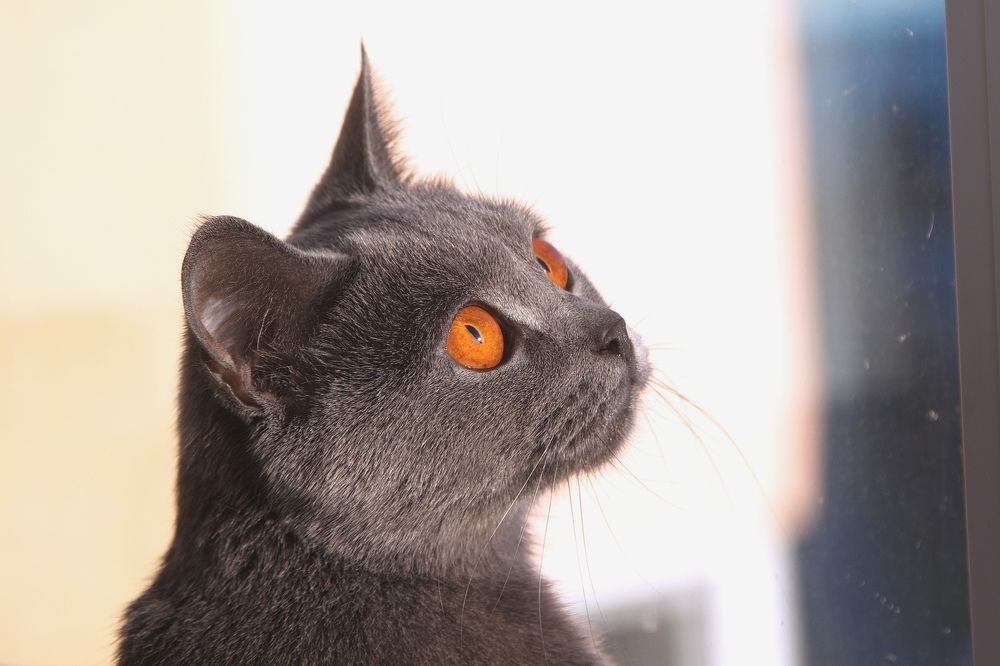 Photograph by Игорь Паутов