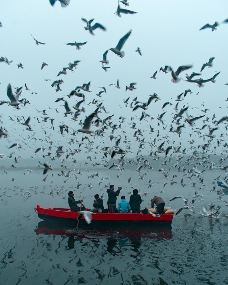 Photograph by Amit Singla