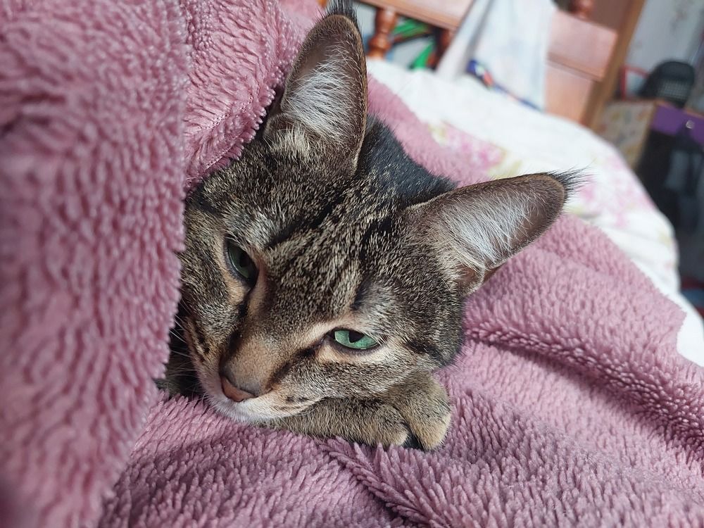 Photograph by Алёна Александровна