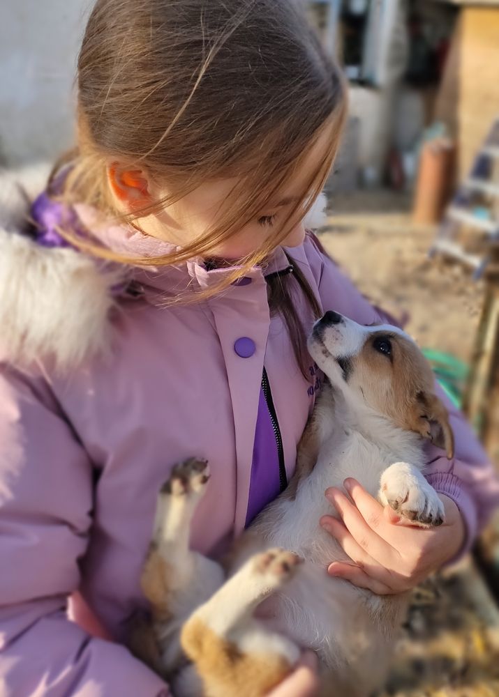 Фотография автора Наталья Бондаренко