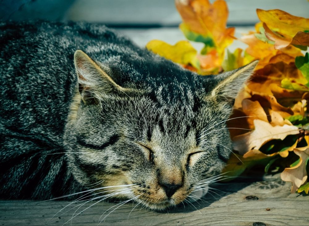 Photograph by Федотова Зоя