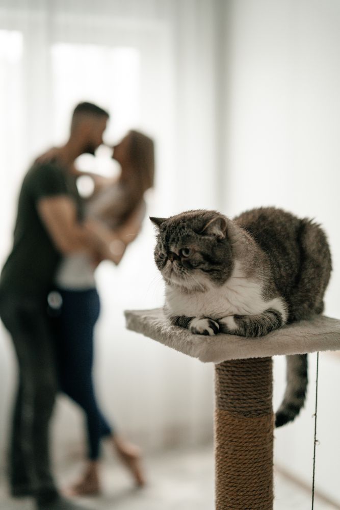 Photograph by Сабина Слободич