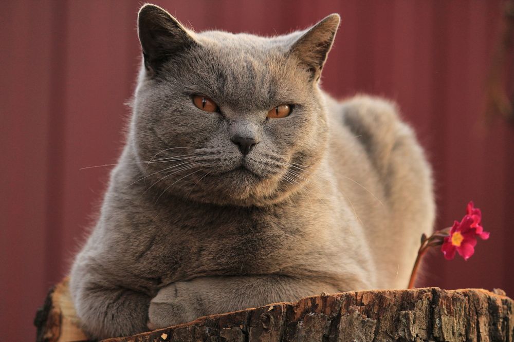 Photograph by Mila Milyutina