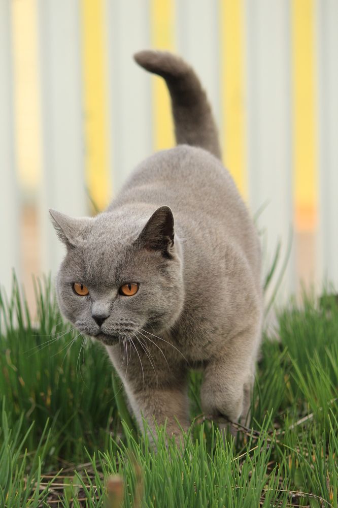 Photograph by Mila Milyutina