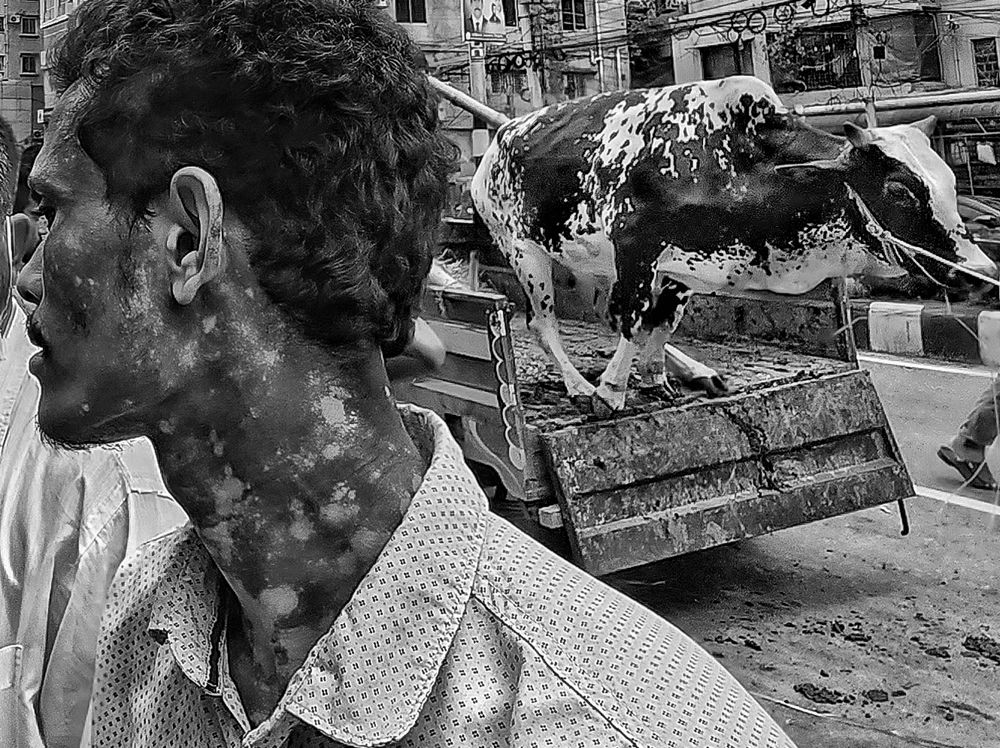 Photograph by Akib Amjad