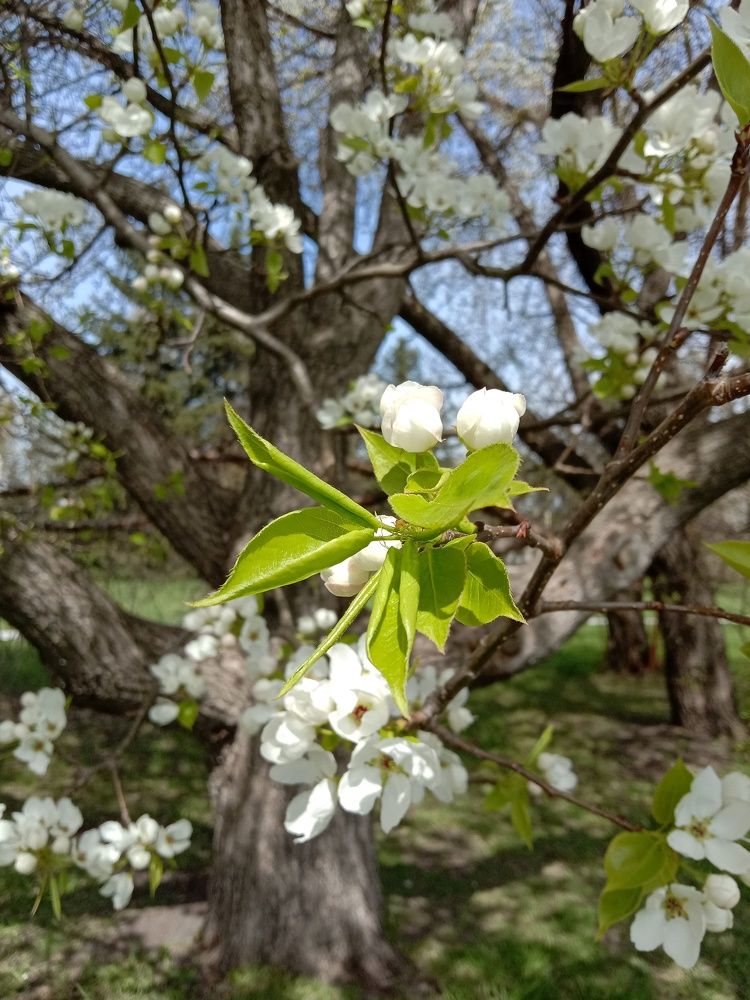 Photograph by Снежана Шепель