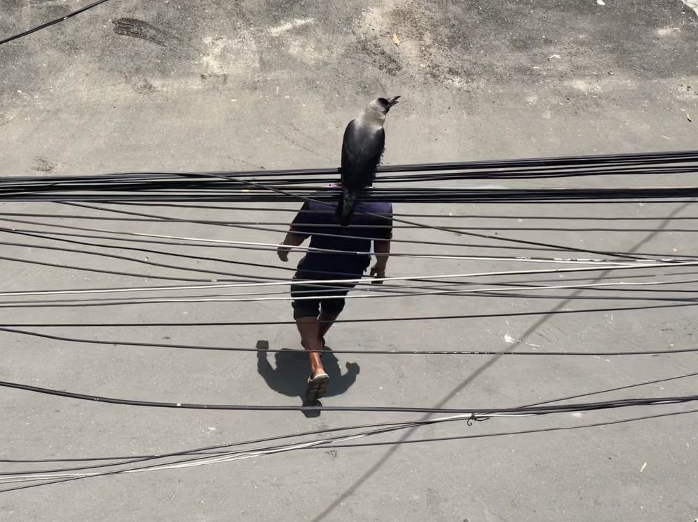 Photograph by Akib Amjad