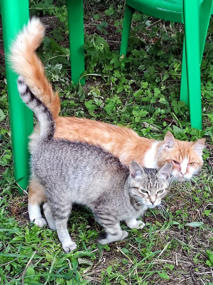 Photograph by Михаил Янкин