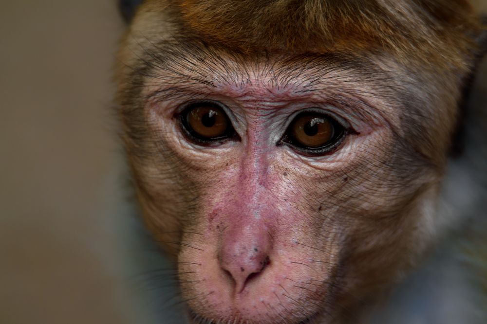 Photograph by Kanujan Singarajah