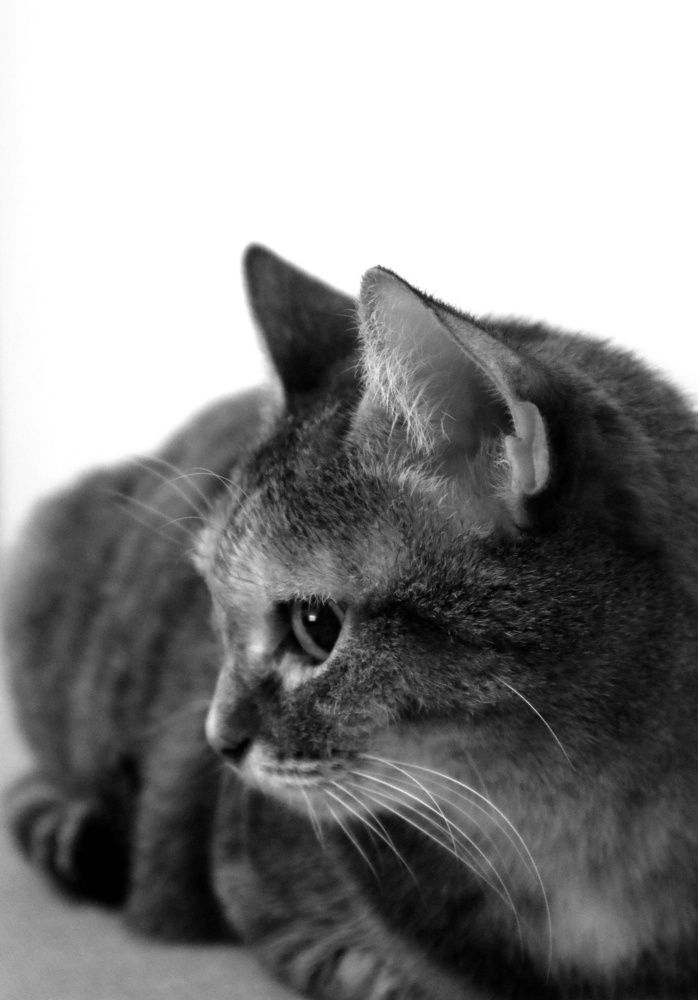 Photograph by Tatyana Pyankova