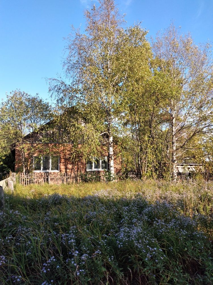 Photo #8851146