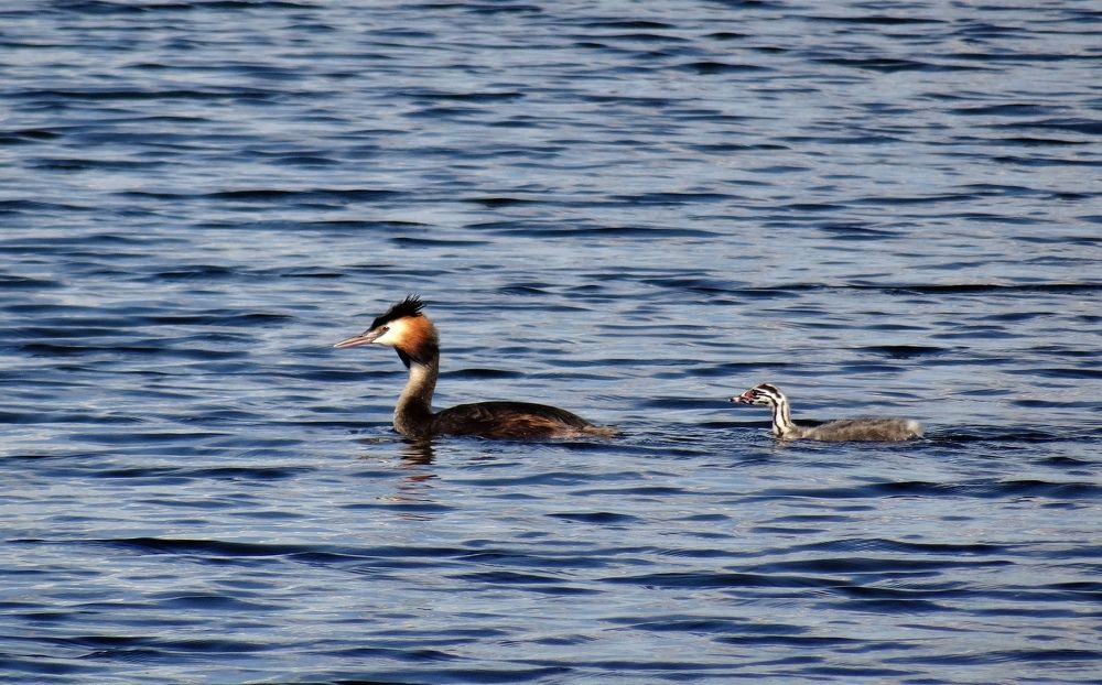 Photograph by Пётр Калачев