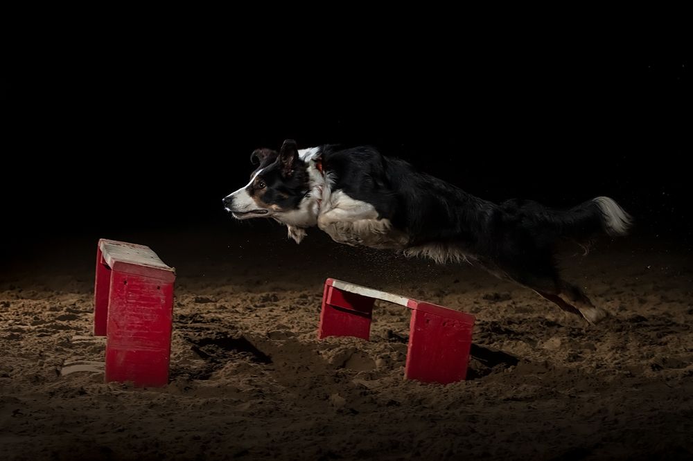 Photograph by Ольга Легенькая