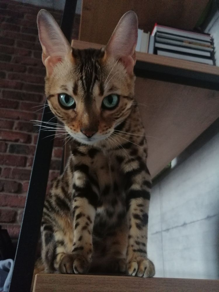 Photograph by Юлия