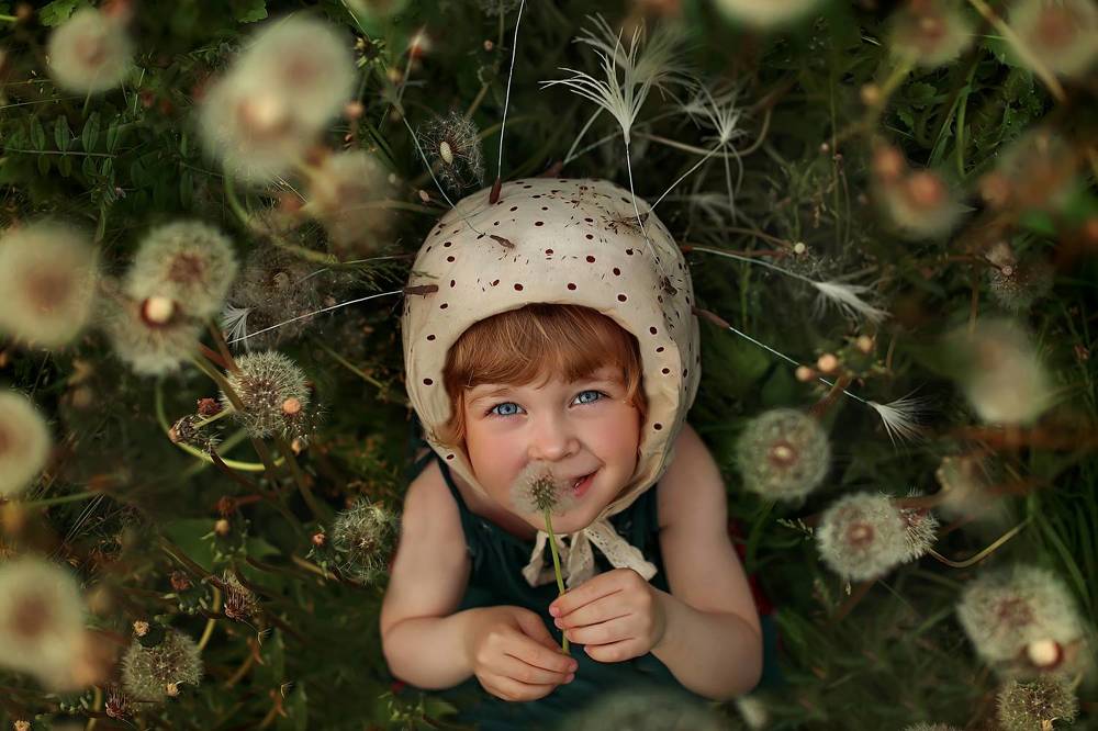 одуванчики