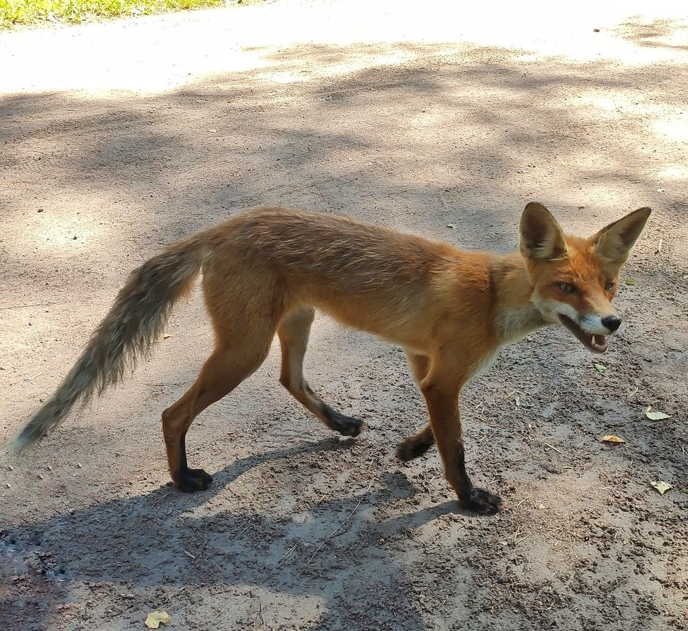 Photograph by Галина