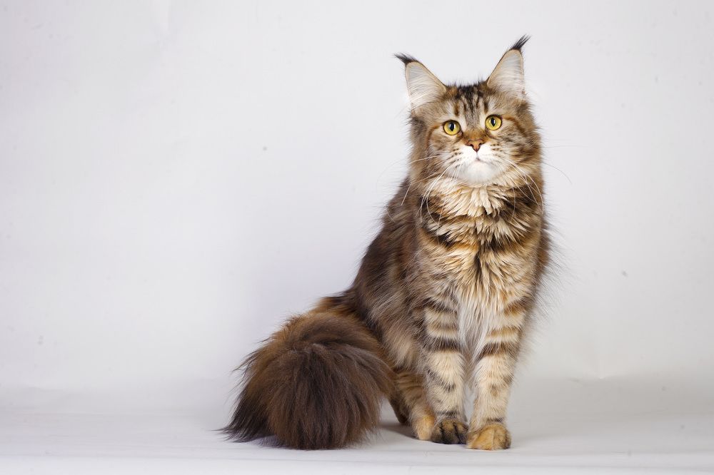 Photograph by Ирина Мамонова