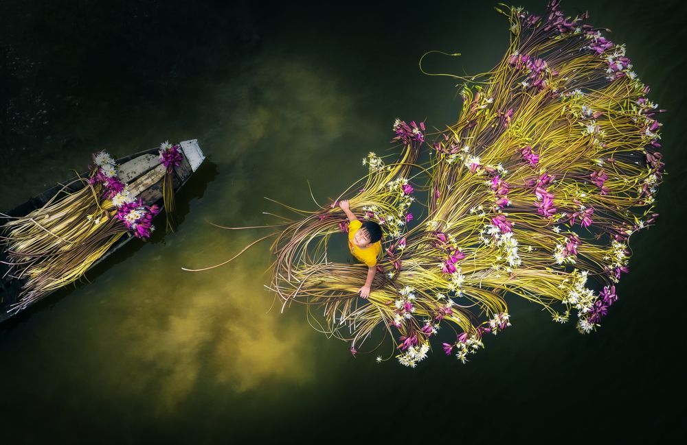 Photograph by Tuấn Nguyễn Tấn