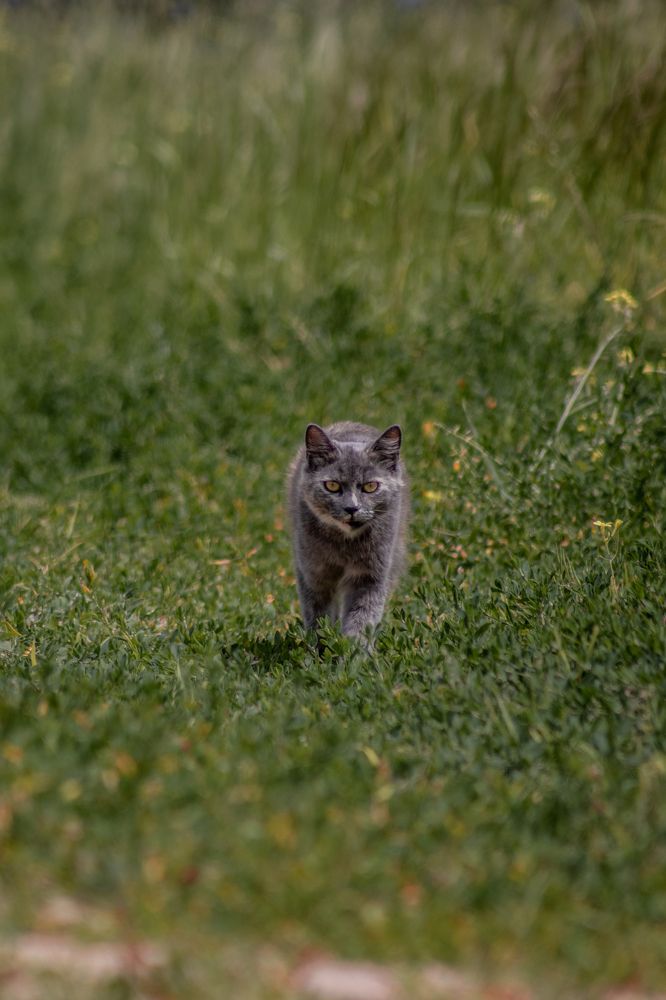 Photograph by Дмитрий Растихин